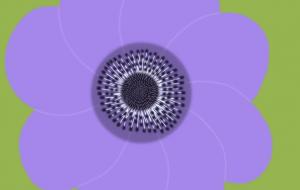 アネモネ - zibun