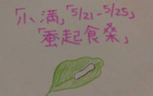 蚕起食桑 - 天音