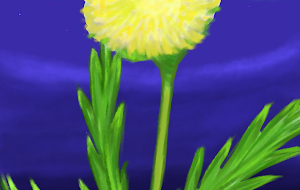 夜空のたんぽぽ - うお丸