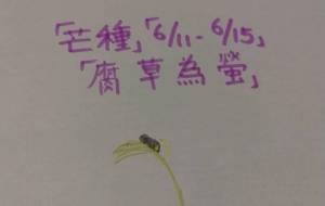 腐草為螢 - 天音