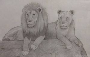 ライオン - 伊藤恵美里