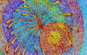 華火 - フェサギ