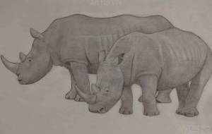 サイのカップル - 伊藤恵美里