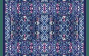 『綾』 - しょも