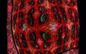 アゲハのいる島 - しょも