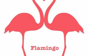 フラミンゴ - ナトリ ユカリ