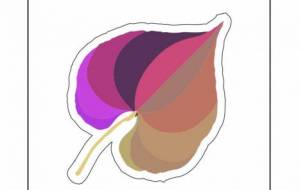 紅葉 - ナトリ ユカリ