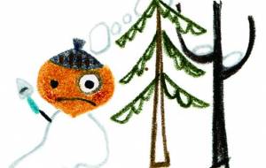 どんぐり坊や - ナトリ ユカリ