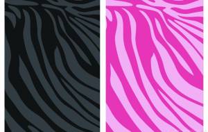 ゼブラ柄 - ナトリ ユカリ