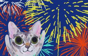 花火 - ナトリ ユカリ