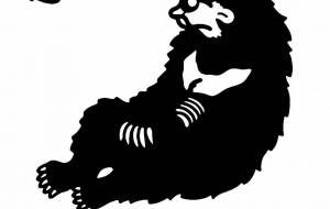 インドナマケグマ - シマハイエナ