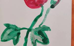 あさがお - 村上弘美