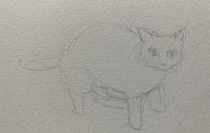 こちらに気づく猫 - みちる