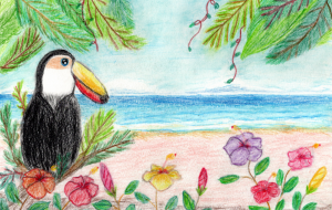 オオハシとハイビスカス - 柴田 和子