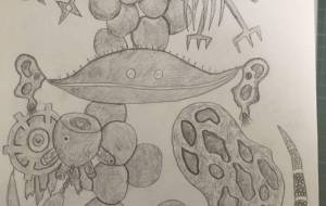 化石 - 雲ノ手太郎