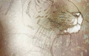 雌の虎 - 相田朋子