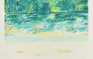 湖のある森 - MIRI