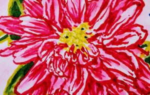 アスター 絵ハガキ - さとみ