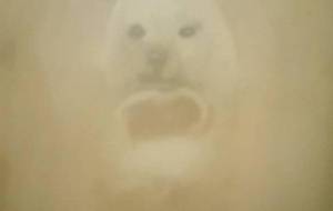 ぼくはてつじ、ぼくねきようねごはん、たくさんたべたいな、でもね - 真鍋哲地