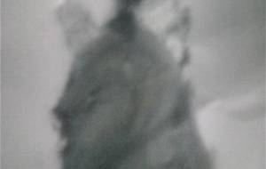 貧困層天使 - 真鍋哲地