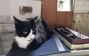 十太郎 - ですメタル