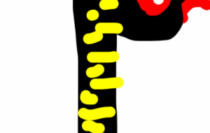 蛇歳はいかがでしょうか - 笹谷正博