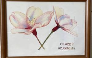 桜 - ナトリ ユカリ