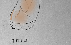 タケノコ - cocoa remon