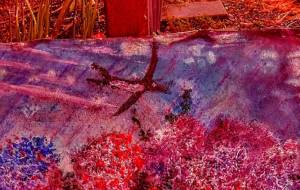 つばめ - 久保田 俊