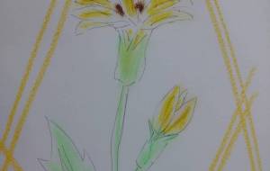 「太陽の下で………………皆とともに」 - サオリ