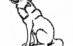 ニューファンドランドシロオオカミ(絶滅) - シマハイエナ