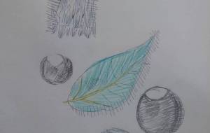 「水の光へ水の底へ」 - サオリ