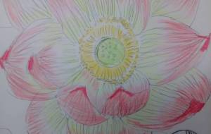 「慈悲………………*」 - サオリ