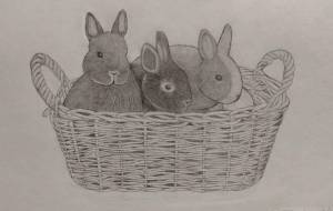 うさぎ - 伊藤恵美里