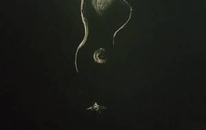 聖認知症純粋愛聖歌、愛する荘厳 - 真鍋哲地