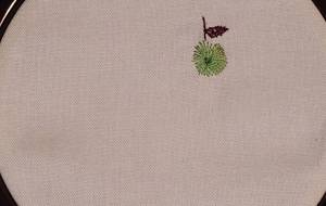 刺繍 青りんご -