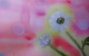 「愛は光、愛は奇跡、命は奇跡」 - サオリ