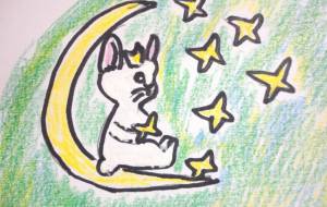 きれいな夜 - KURO