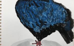 コサンケイ - GENTIL