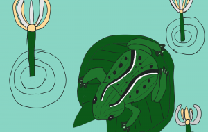 水面のカエル - アンドル