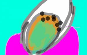 貝の、焼き - トゥー・A・ルルカ