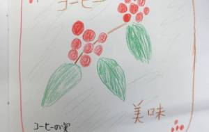 コーヒーパッケージデザイン - ツバメ