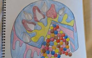 フォトジェニックケーキ - まる