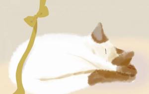 Sleep - 柚子はちみつ