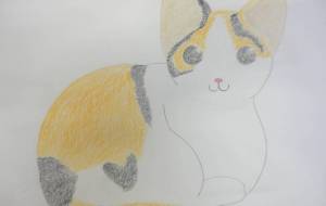 のらねこ - HIRAKATA
