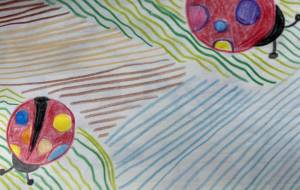 てんとう虫 - 名もなき米3号