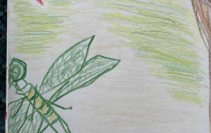 トンボ - 名もなき米3号