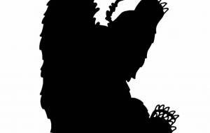 メガネグマ - シマハイエナ