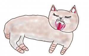 のんびりする猫 - わらび