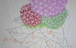 梅雨のメロディー - Shino-B(シノビー)